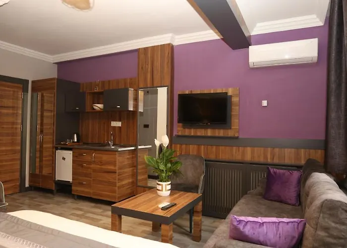 公寓式酒店 La Serena Suites